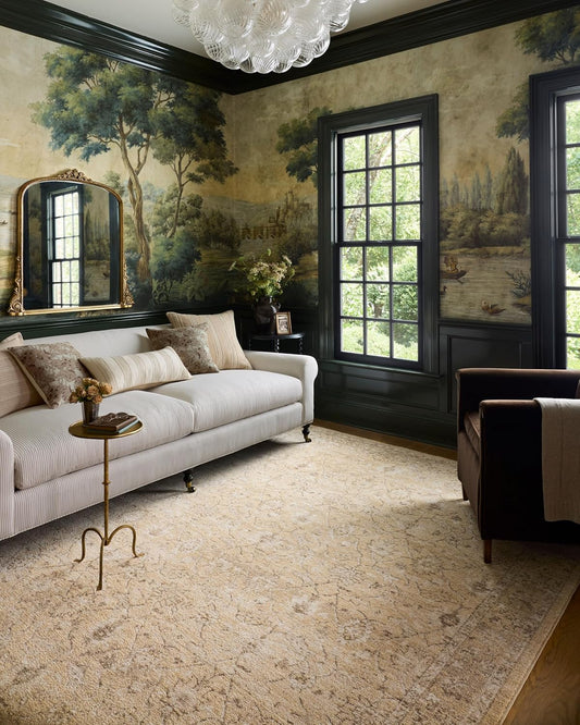 Vintage Style Palma Collection Area Rug for Living Room & More