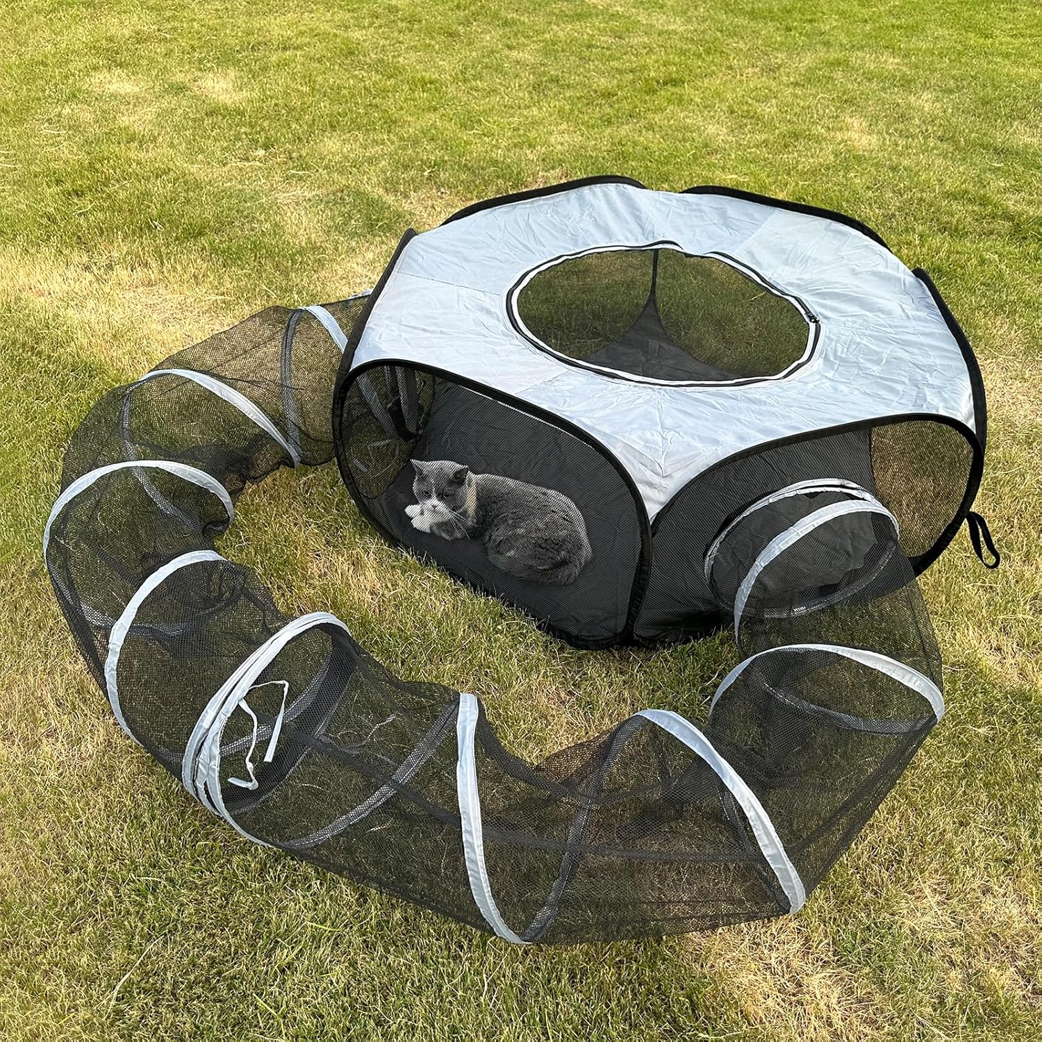 Portable Pop-up Cat Enclosure - Indoor & Outdoor Fun!