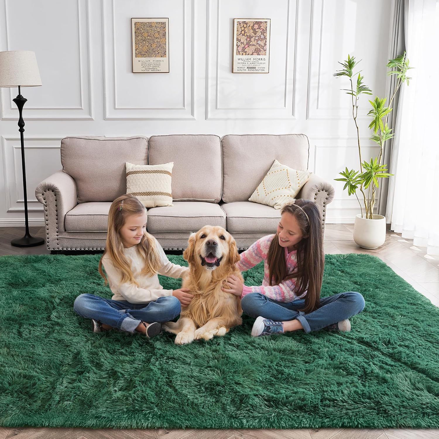 Fluffy Rug Flame Resistant 8x10 Feet for Living Room Comfort