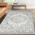 MaxRugrs Small Area Rugs 4x6 for Living Room and Bedroom