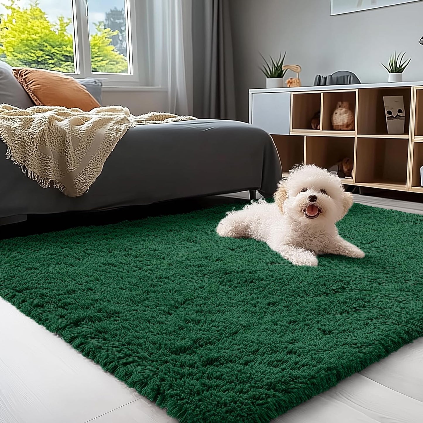 OLANLY 3x5 Machine Washable Soft Fluffy Shaggy Bedside Rug