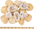 Break Your Own Geode Kit 10 Natural Geodes - Easy Crack-Open Fun