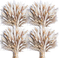 440PCS Natural Dried Pampas Grass Bouquet - Long-Lasting Boho Decor