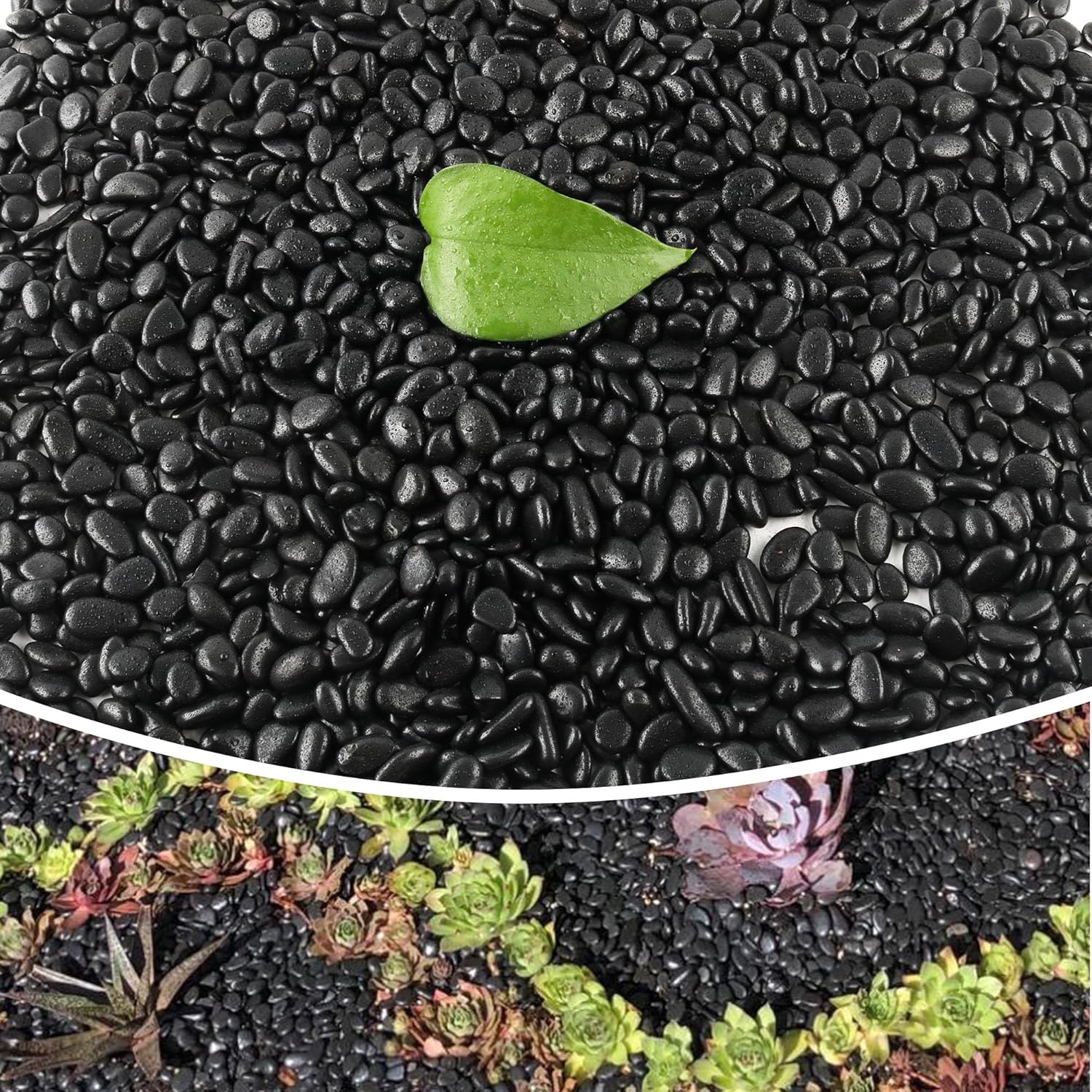 18lb 1/4in Small Black Pebbles for Plants and Aquariums