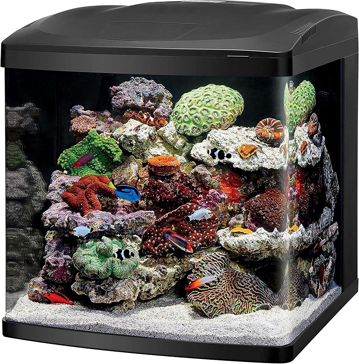 Coralife LED BioCube Aquarium Kit for Saltwater and Marine Life