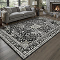 DCX Machine Washable Black Area Rug 4x6 for Living Room