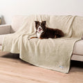PetAmi Fluffy Waterproof Dog Blanket for Bed Large Dogs - Cozy, Pee
