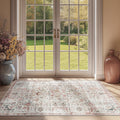 jinchan Area Rug 3x5 Washable Entryway Rug for Indoor Use
