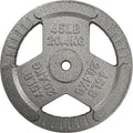 Cast Iron 1-Inch Standard Weight Plate for Strength Training - Solid