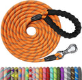 NTR 100FT Leash for Large Breed Dog - Long Lockable Training Lead