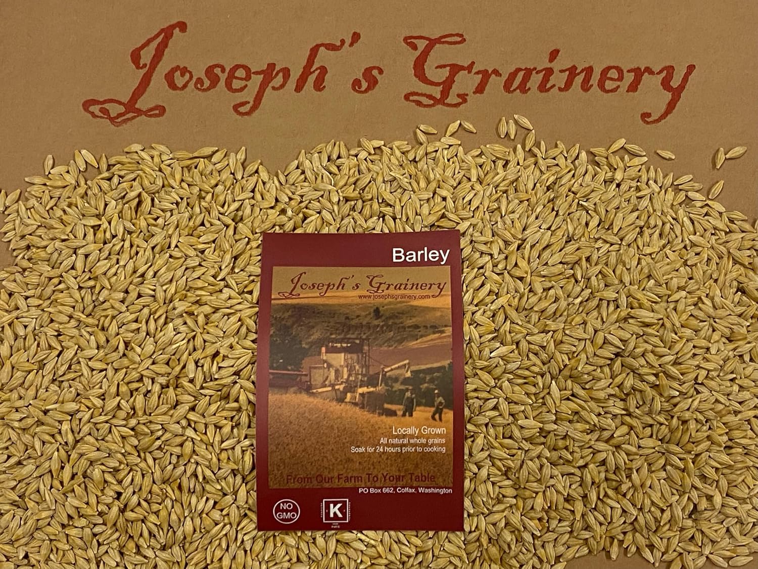 Unhulled Barley 12 Lbs - Non-GMO, Kosher Certified Grain