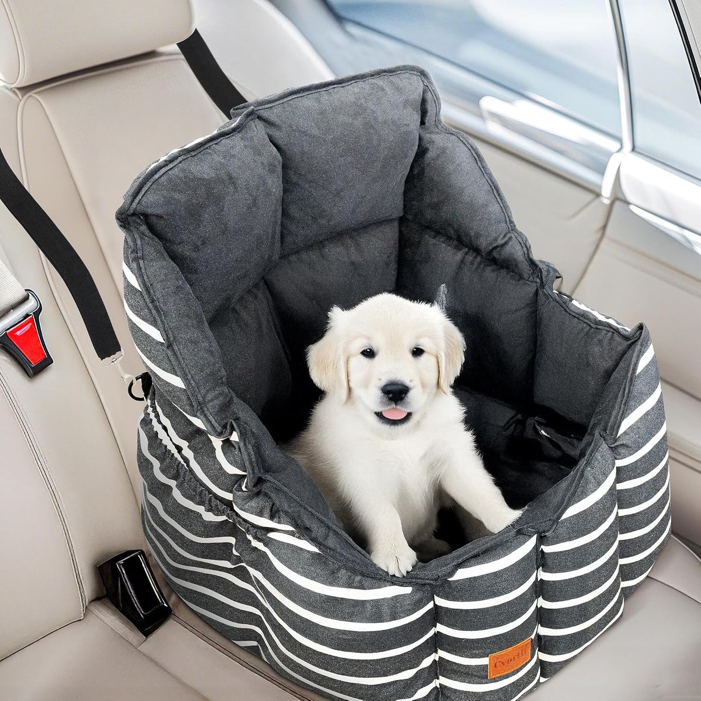 Washable Small Dog Booster Seat with Storage - Portable Travel Solution