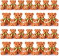 Hungdao 24 Pcs Bear Plush 10 in Bulk Gift Set - Soft Party Favors