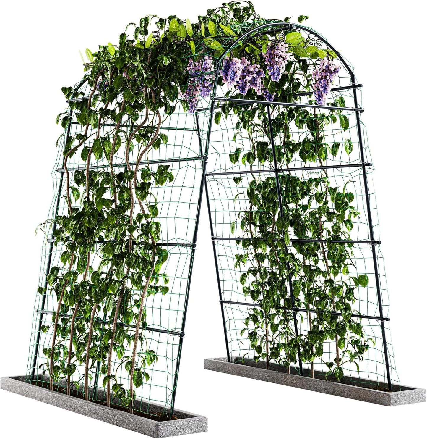 Idzo Garden Arch Trellis for Climbing Plants, Durable & Stylish
