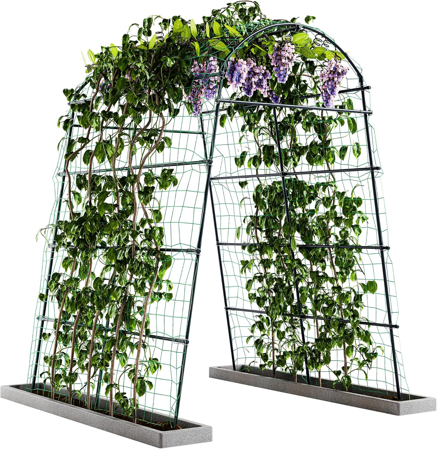 Idzo Garden Arch Trellis for Climbing Plants, Durable & Stylish