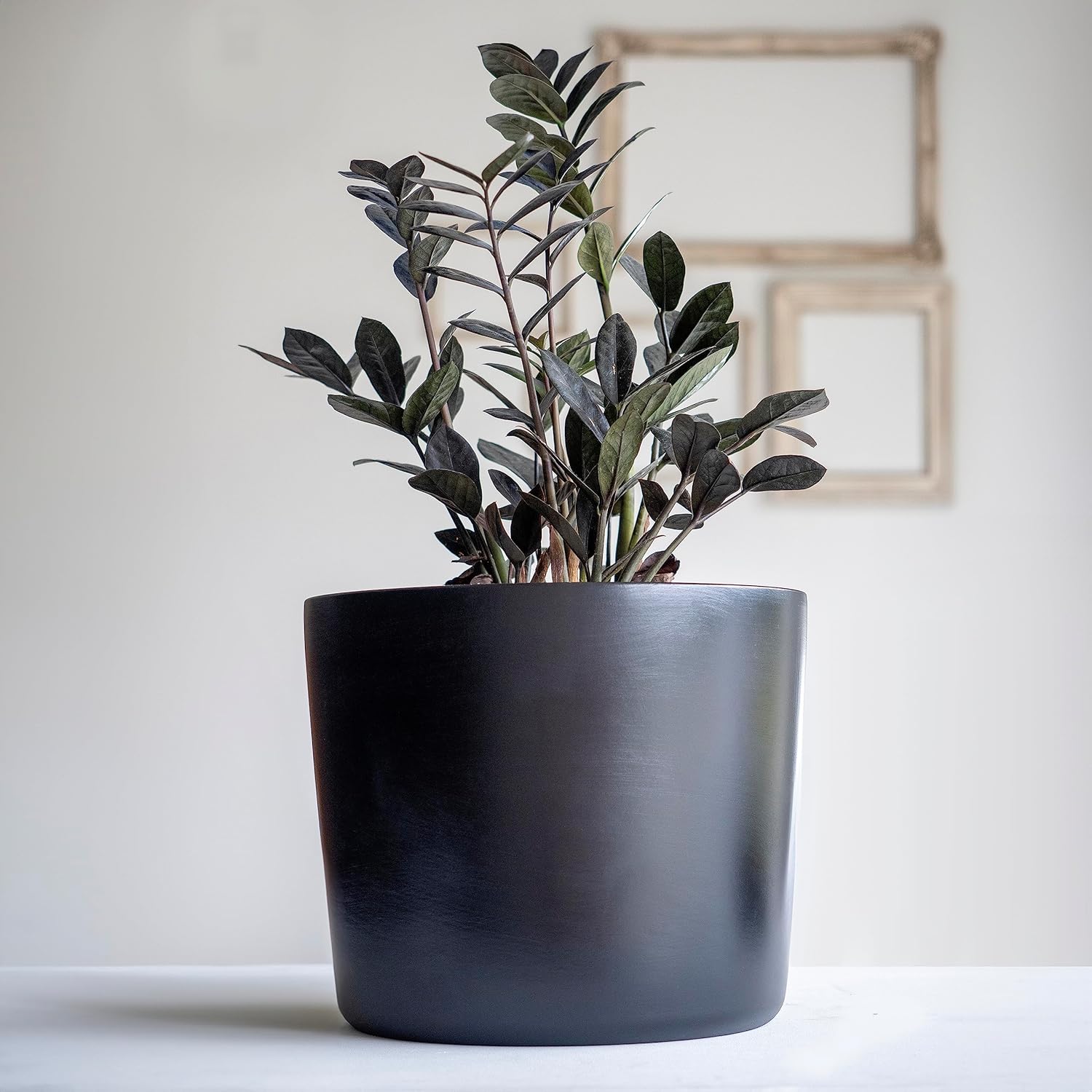 12 Inch Large Black Ceramic Plant Pot for Modern Spaces