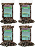Premium Monstera Borsigiana Soil Mix - Expert Blend for Strong Growth