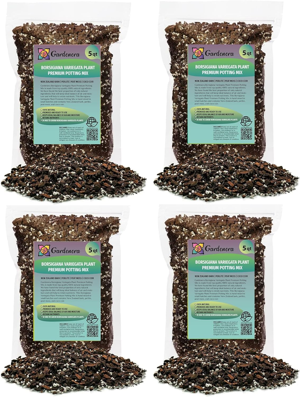 Premium Monstera Borsigiana Soil Mix for Healthy Plants