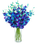 Exotic Blue Sapphire Orchid Bouquet of 20 - Long-Lasting Fresh Cut