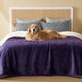 Bedsure Waterproof Blanket for Bed - Cozy Sherpa Fleece Design