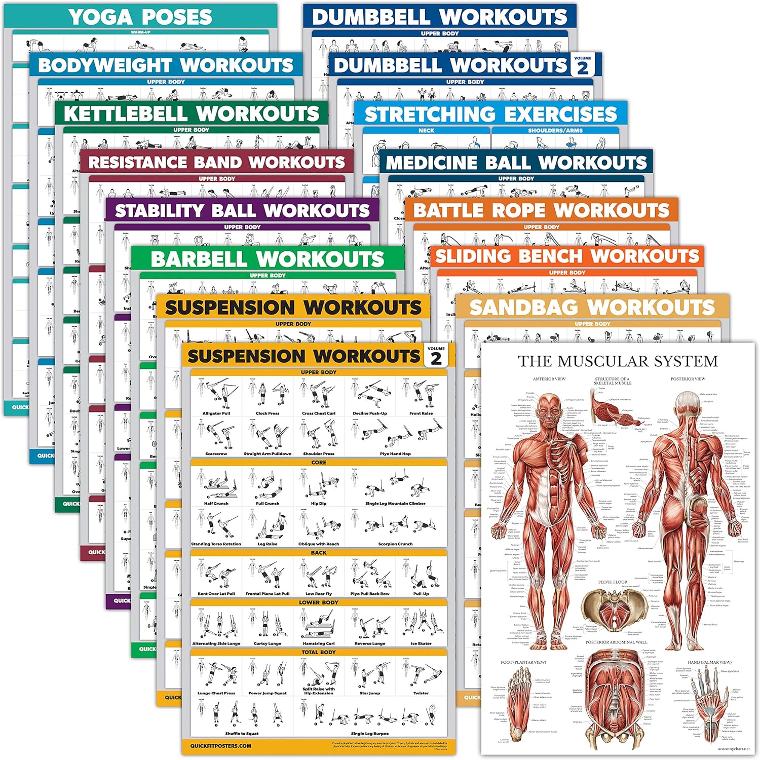 Ultimate 16 Pack Exercise Poster Set by Palace Learning
