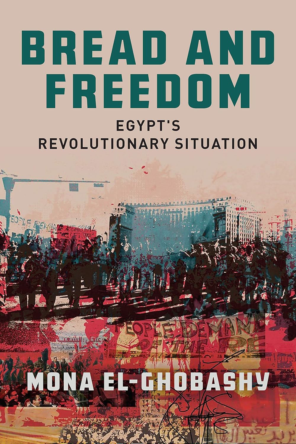 Bread and Freedom: Egypt's Revolutionary Situation Review
