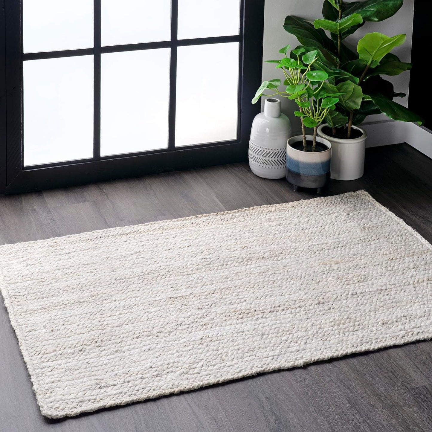 nuLOOM 3x5 Rigo Jute Hand Woven Area Rug for Cozy Spaces