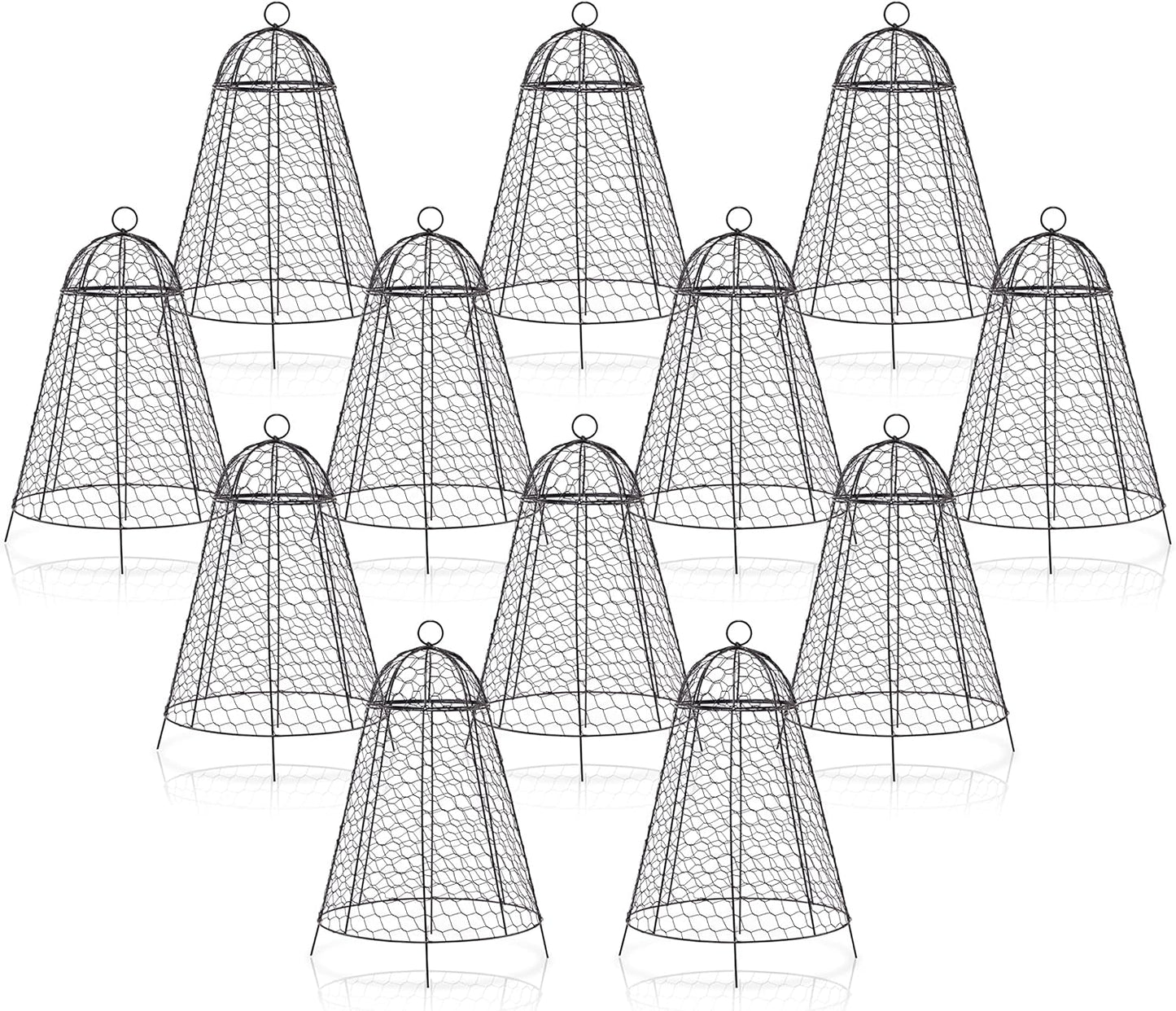 Boldworks Garden Cloches for Plants - Extra Large Protection