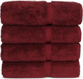 Chakir Turkish Linens 100% Cotton Bath Towels (4-Pack) - Soft
