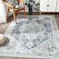 Area Rug 6x9 Washable Living Room Rug - Vintage Grey Low Pile