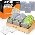 Seed Sprouting Mason Jar Kit with Bamboo Holder - Easy Organic Sprouts