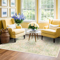 Beige Green 4x6 Washable Area Rug for Living Room and More