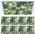Fluorescent Light Covers 4 x 2 ft (8 Pcs) - Magnetic Diffusers