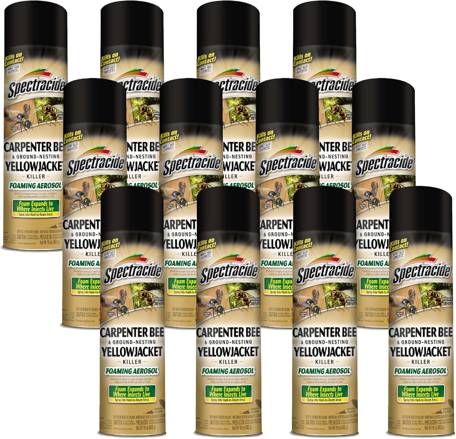 Spectracide Carpenter Bee and Yellowjacket Killer 16 Ounce Foam