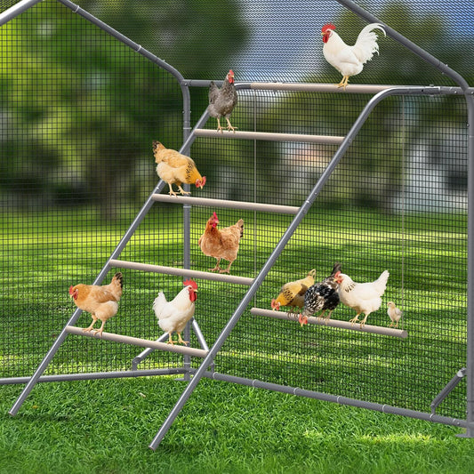 Chicken Coop Roosting Perch Essentials for Backyard Poultry
