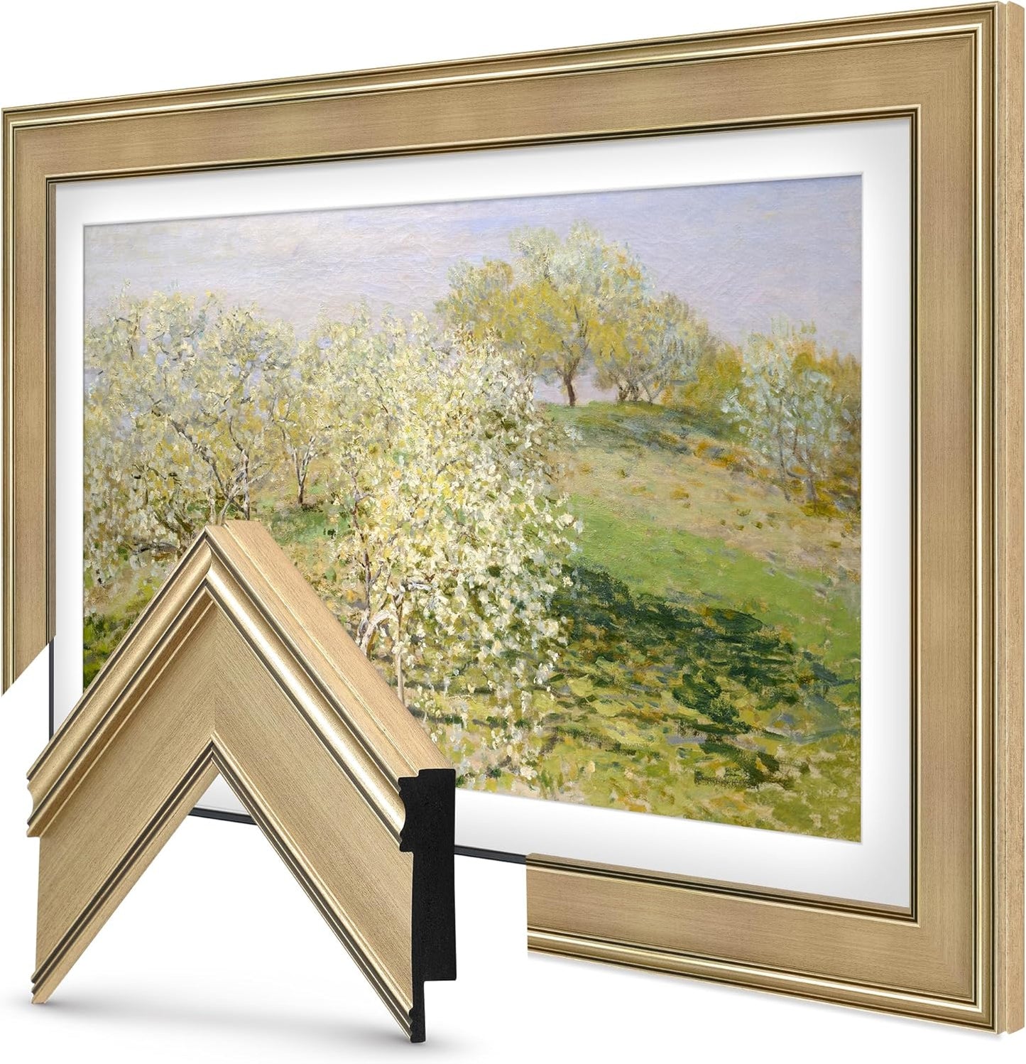 Deco TV Frames for Samsung The Frame TV - Champagne Finish