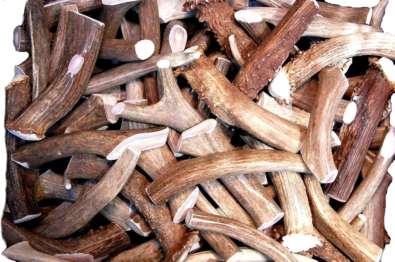 Premium Deer Antler Pieces for Dogs - Natural Chews for Health