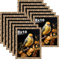 Picrit 8x10 Farmhouse Stone Spotted Picture Frame Set of 12 - Rustic
