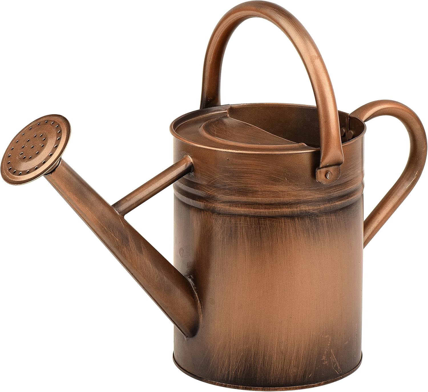 Homarden 1 Gallon Decorative Watering Can for Indoor Plants