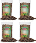 Scindapsus Sterling Potting Mix - Tailored Growth Blend