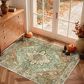 Area Rugs 3 ft x 5 ft Washable Non-Slip Floral Vintage Medallion