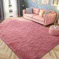 Fluffy Area Rug 5x8 Ultra Soft Shag Rug for Living Room - Machine