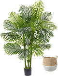 Artificial Palm Tree 6ft Golden Cane Faux Palm with Basket - Lush