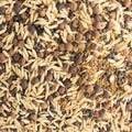 Cover Crop Seed Mix Organic - Pollinator & Bee Friendly 25 lb