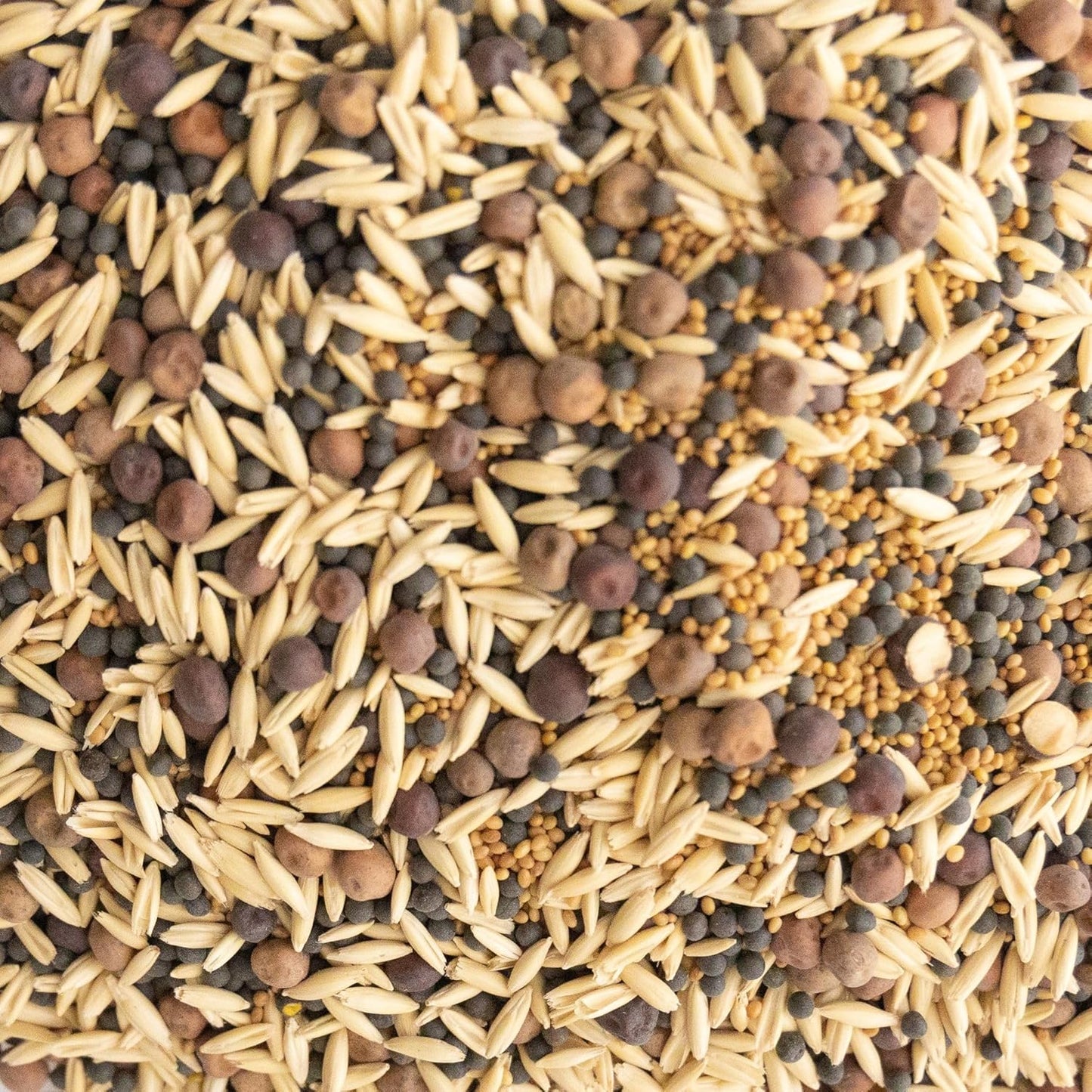 Organic Cover Crop Seed Mix for Pollinators and Bees - 25 lb