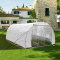 Spacious Walk-in Greenhouse with Irrigation System for Vibrant Gardens - 59 characters