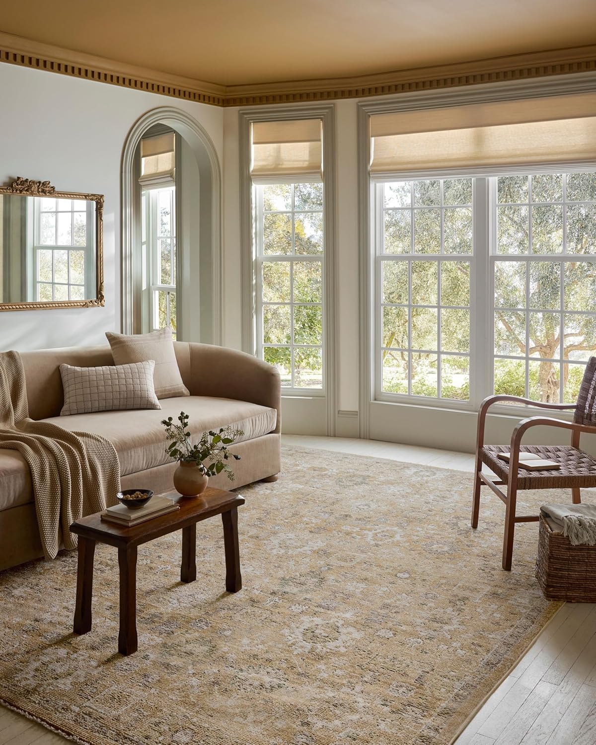 Loloi Magnolia Home Pace Collection Area Rug for Cozy Spaces