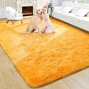Noahas Luxury Fluffy Rugs Ultra Soft Shag Rug for Home Decor