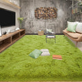 Tepook Super Soft Fluffy Rugs 8x10 - Plush Modern Shaggy Area Rug
