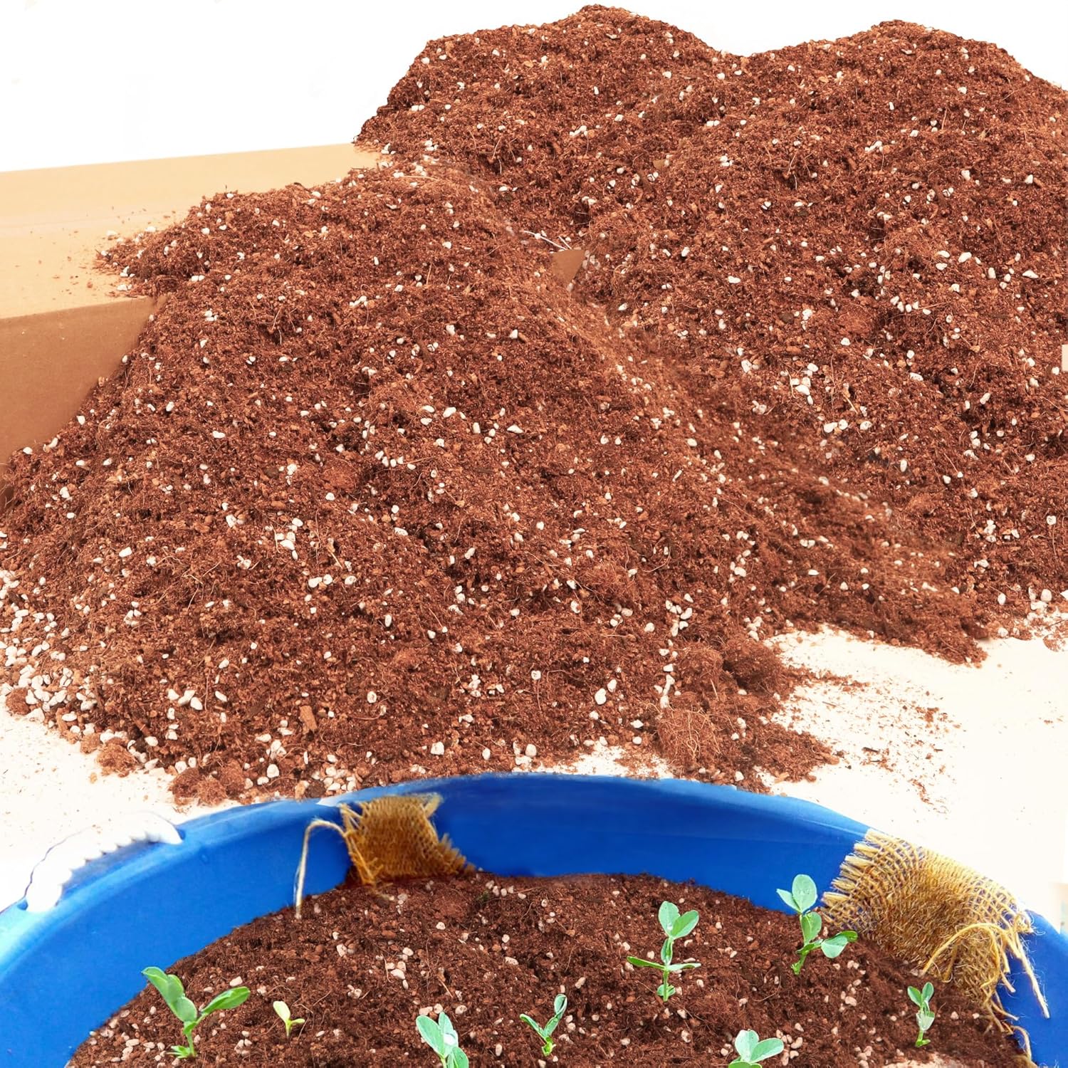 29QT Potting Soil Mix for Indoor Plants - Organic & Well-Draining